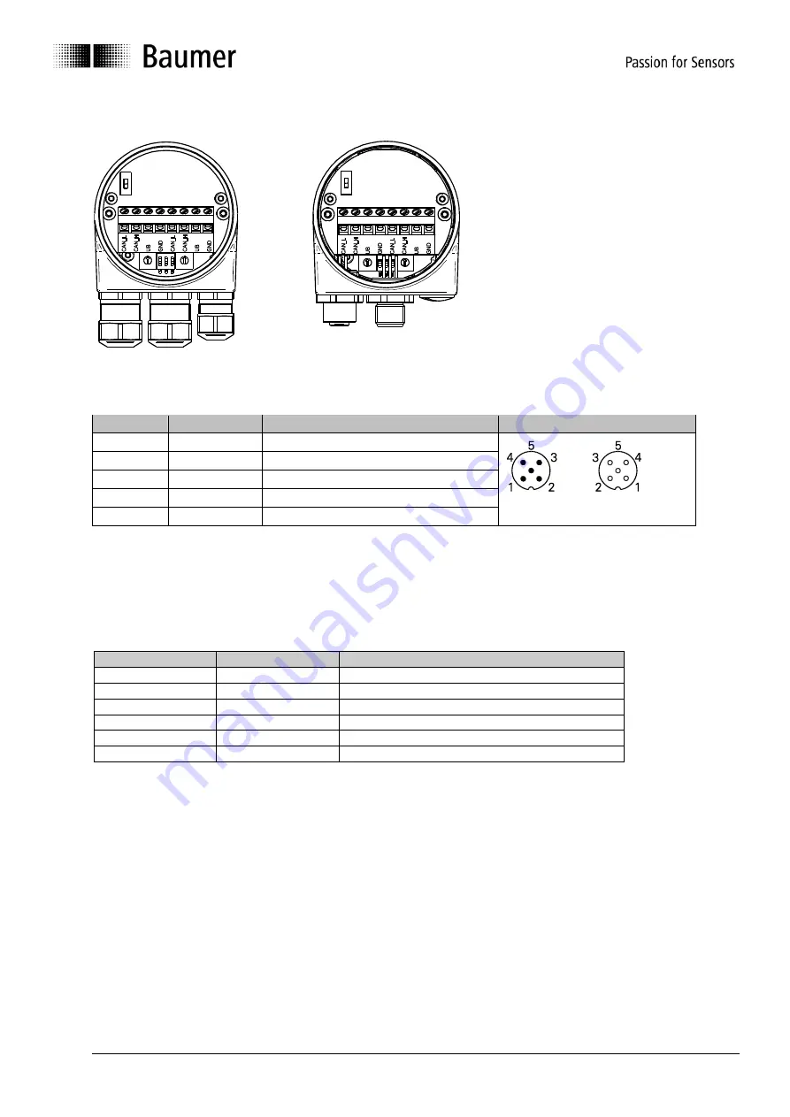 Baumer GNAMG Series Manual Download Page 41