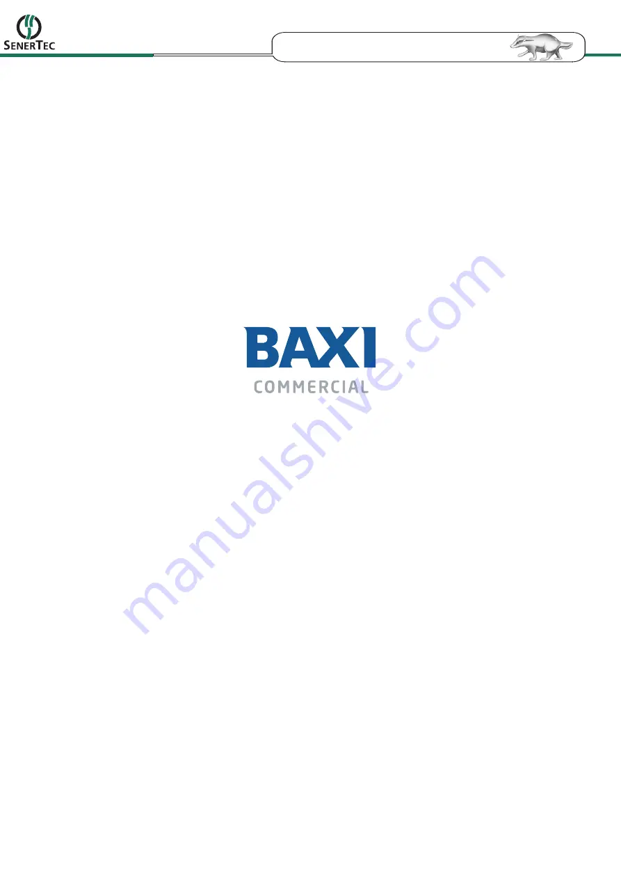 Baxi Senertec Dachs Pro 20 ST Скачать руководство пользователя страница 118