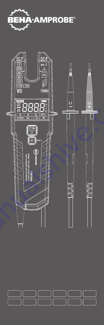 Beha-Amprobe 2100-Delta User Manual Download Page 1