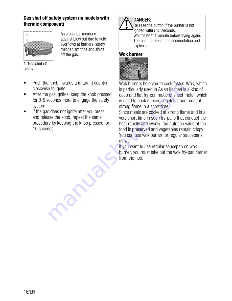 Beko HIZG 64125 SR User Manual Download Page 16