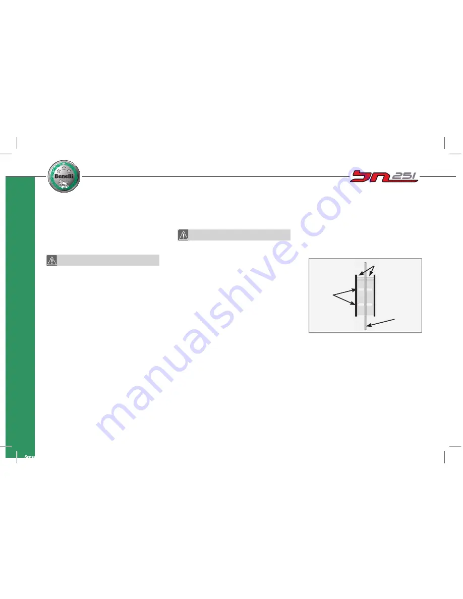 Benelli BN251 Скачать руководство пользователя страница 91