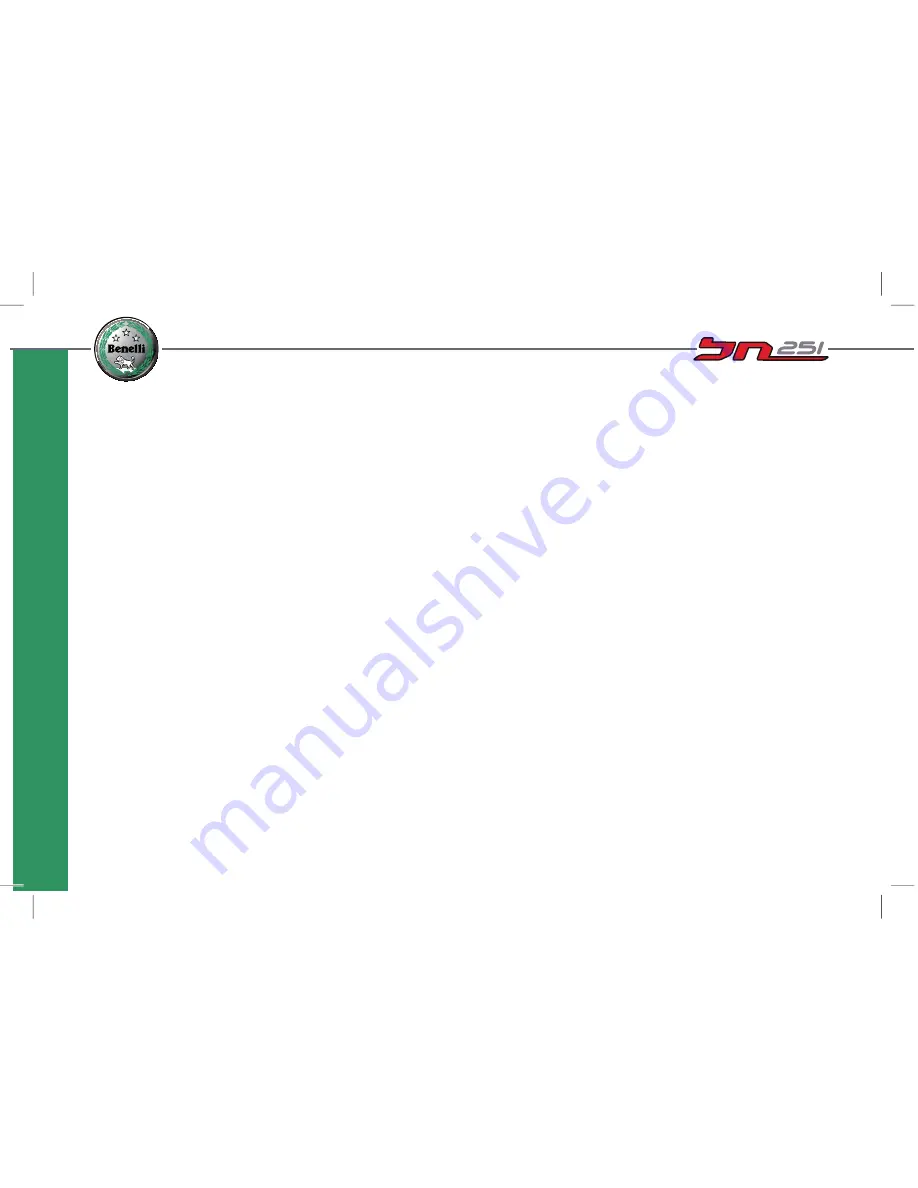 Benelli BN251 Owner'S Manual Download Page 131