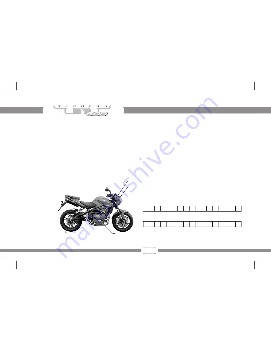 Benelli Tornado TNT600 Owner'S Manual Download Page 10