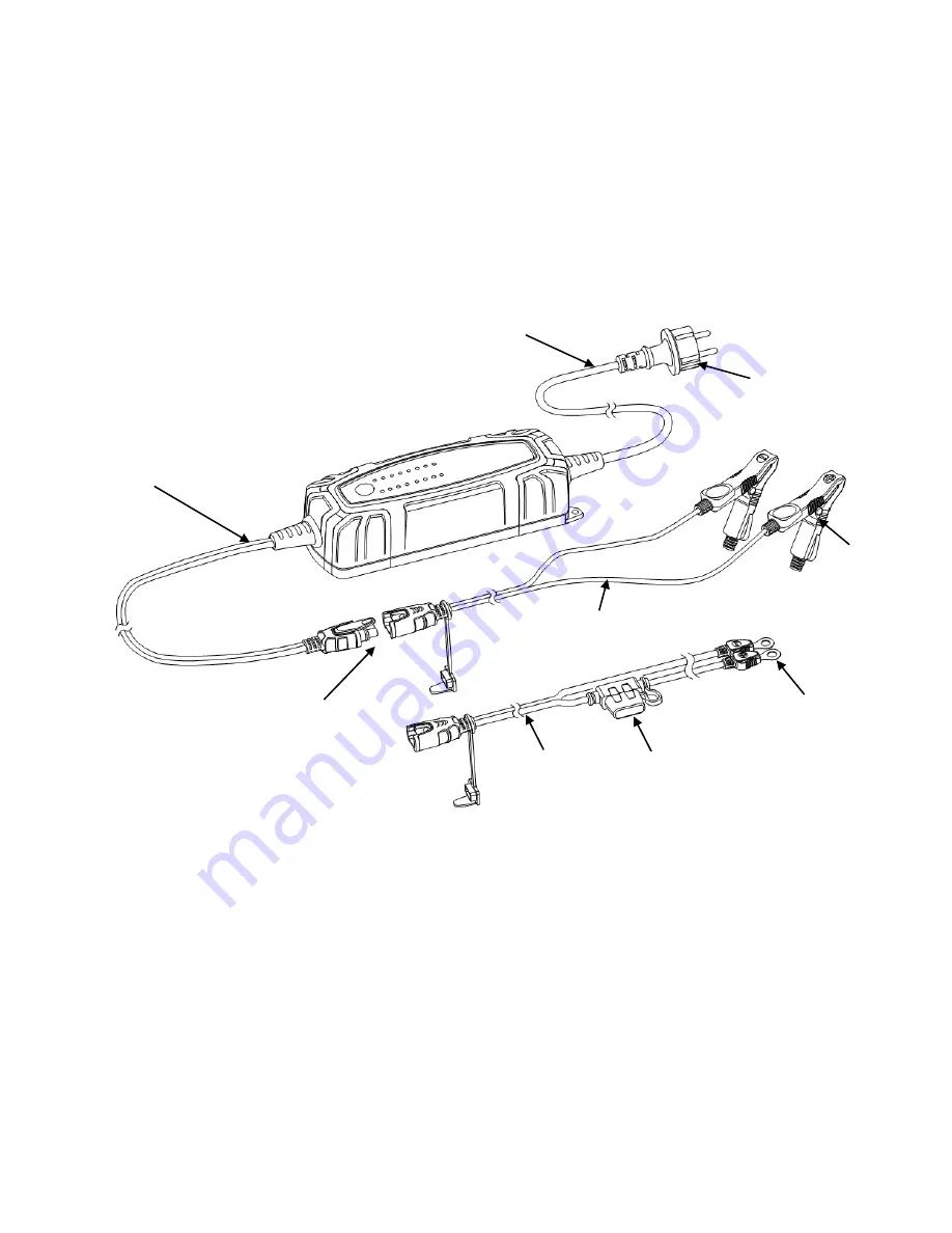 Benton ICEMAN 5.0 BLE User Manual Download Page 2