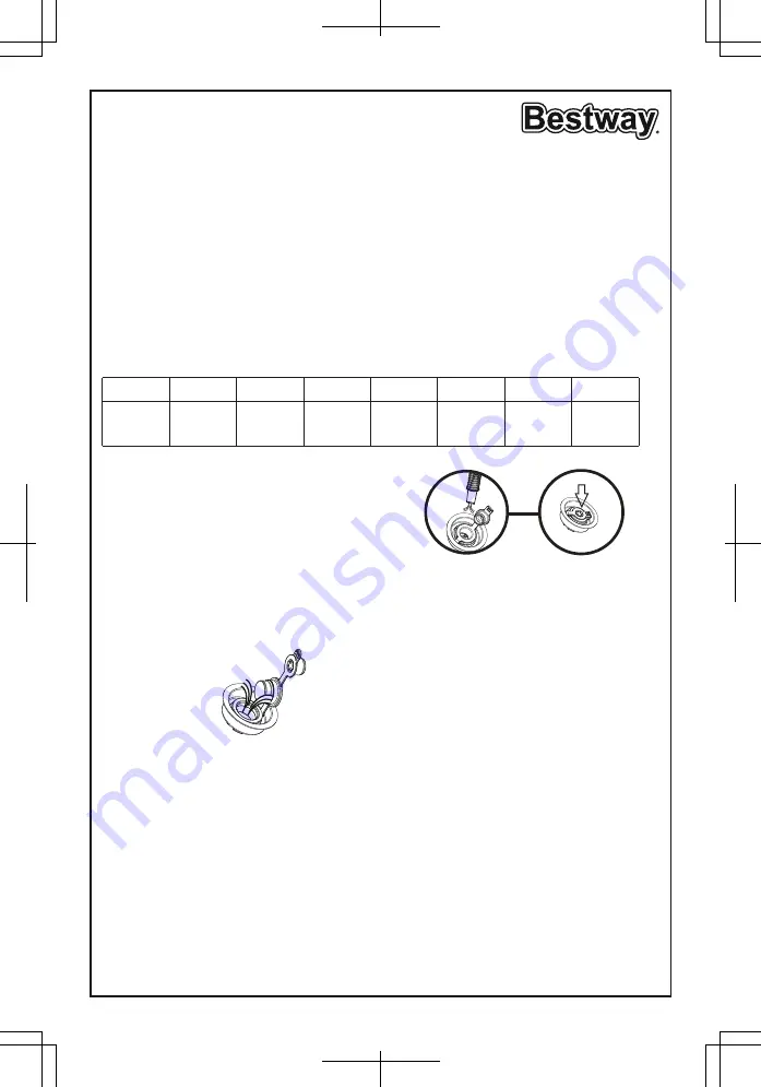 Bestway 67000 Owner'S Manual Download Page 1