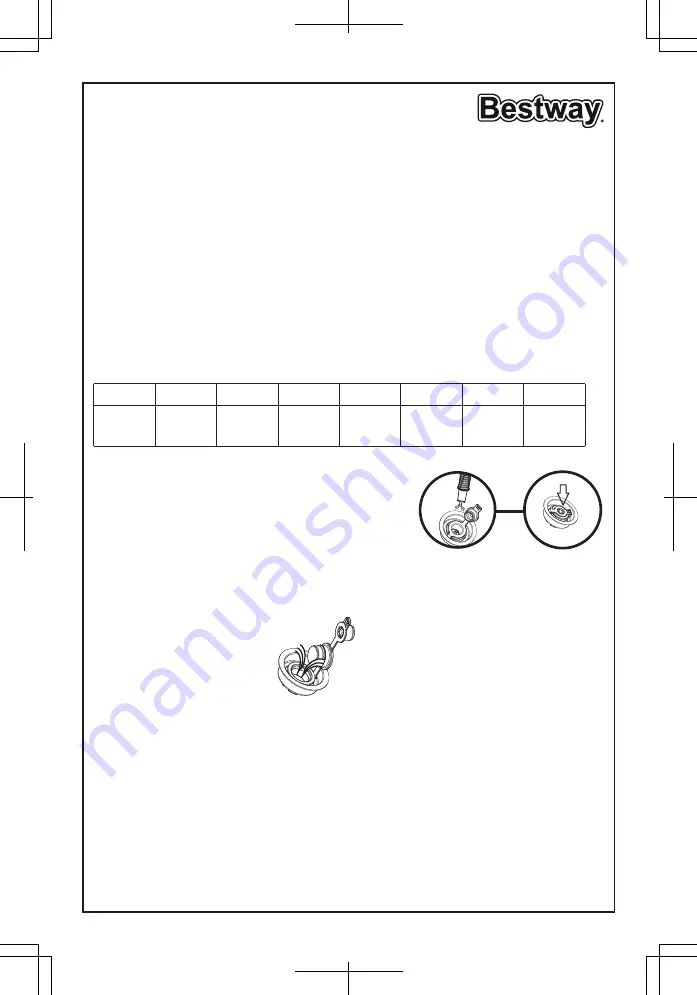 Bestway 67000 Owner'S Manual Download Page 2