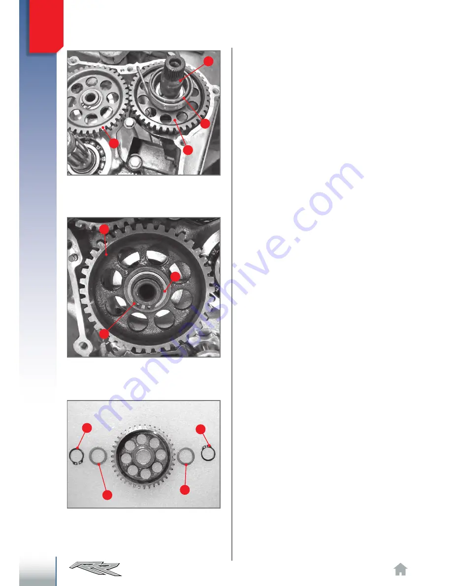 Beta Enduro RR 350 2015 Workshop Manual Download Page 44