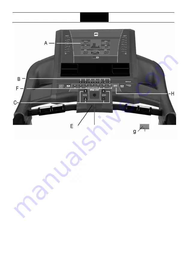 BH FITNESS G6424O Manual Download Page 28