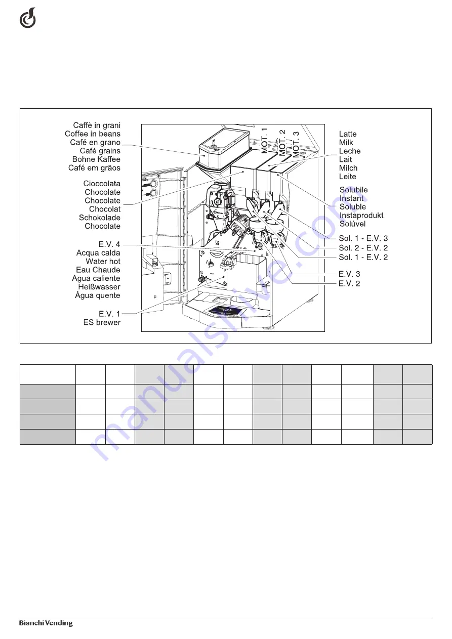 Bianchi brasilia FESTA Use And Maintenance Manual Download Page 81