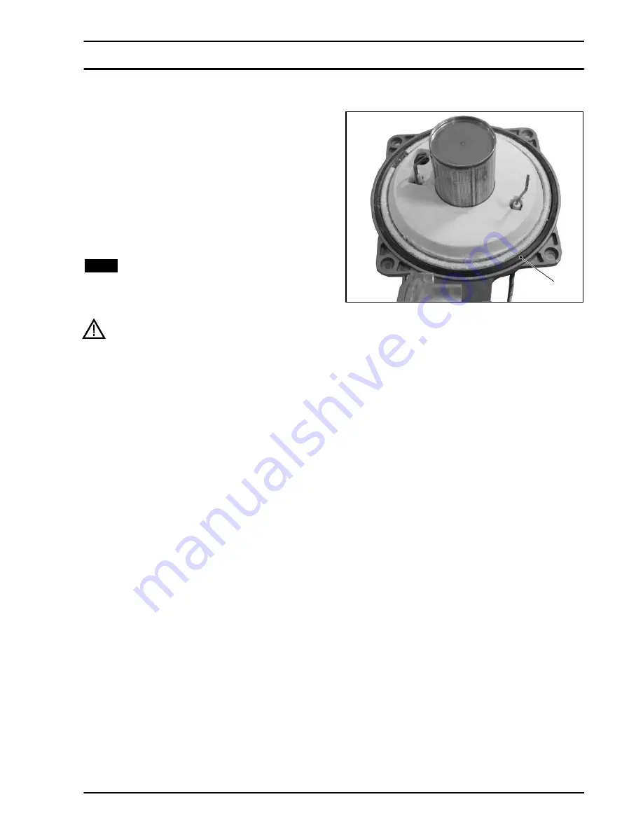 Biasi RIVA ADVANCE HE M110B.24SM/C Service Manual Download Page 13