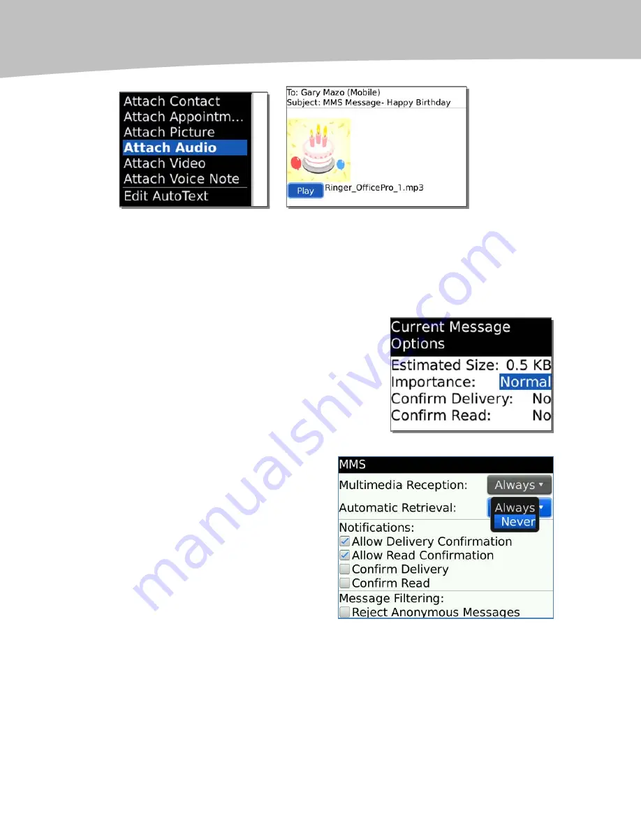 Blackberry Bold 9650 Series Manual Download Page 363