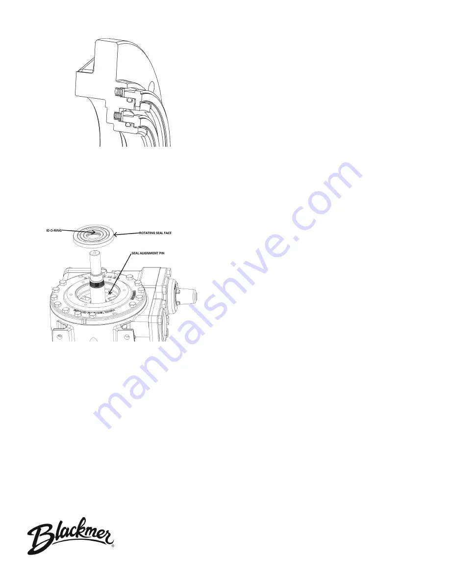 BLACKMER SGLD3 Manual Download Page 4