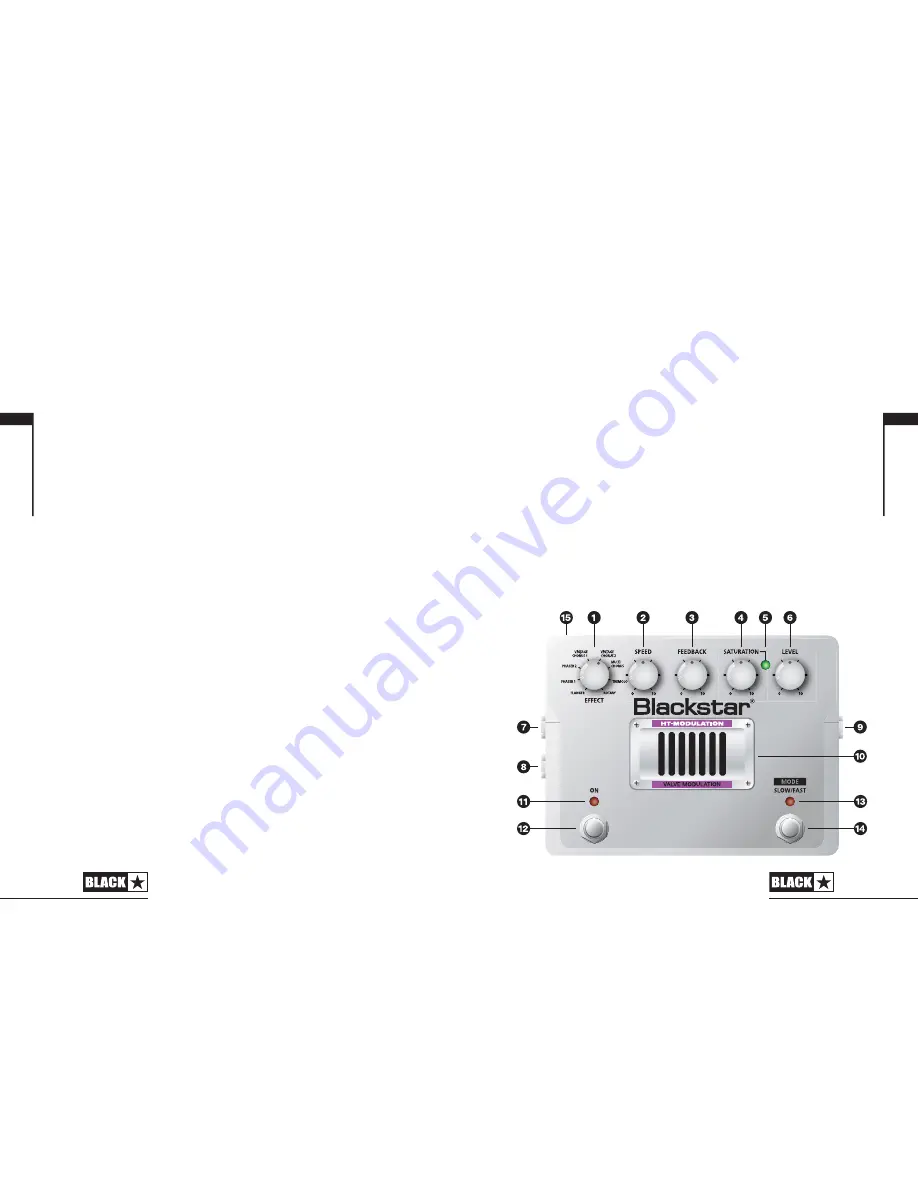 Blackstar HT-MODULATION Скачать руководство пользователя страница 9