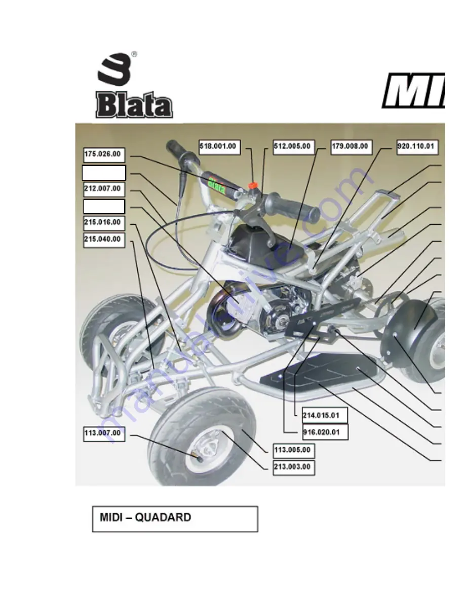 Blata MIDIQuadard Скачать руководство пользователя страница 12