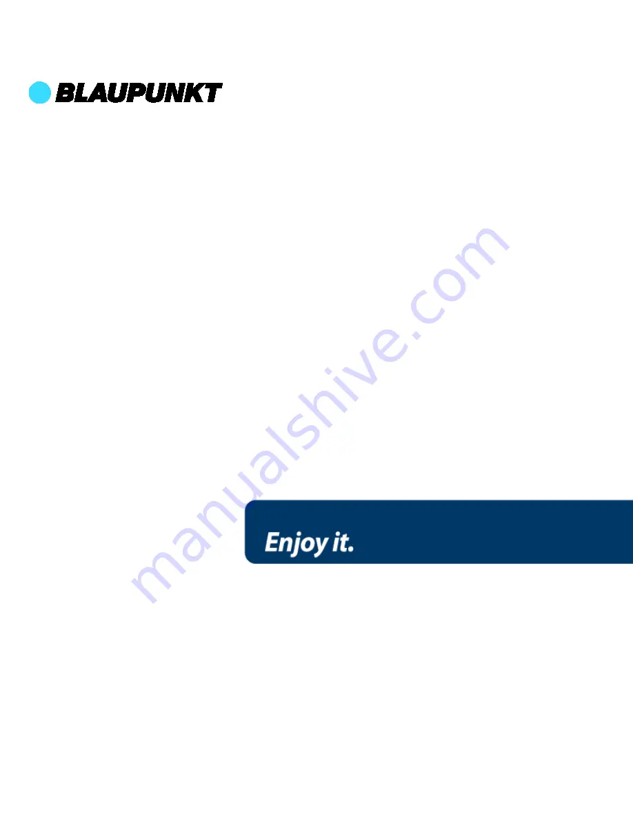 Blaupunkt BLP1590 User Manual Download Page 39