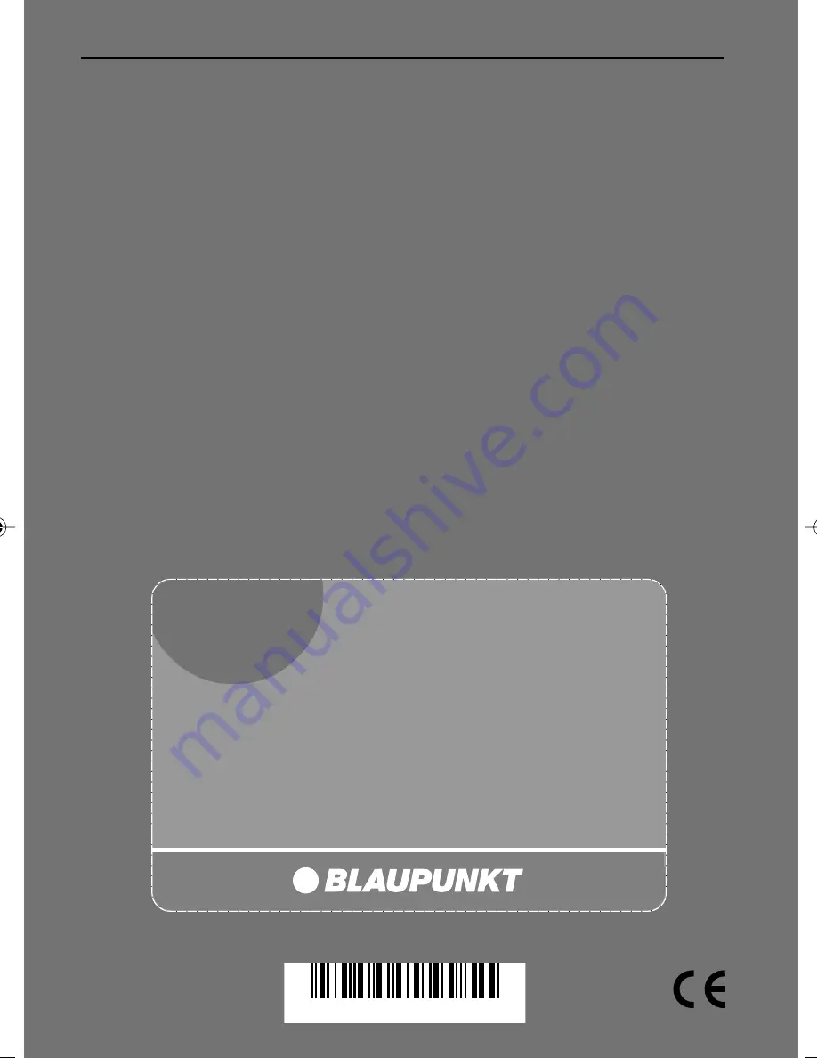 Blaupunkt ESSEN MP36 Operating Instructions Manual Download Page 30