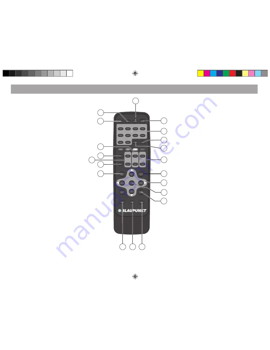 Blaupunkt IVTV-05 Скачать руководство пользователя страница 2