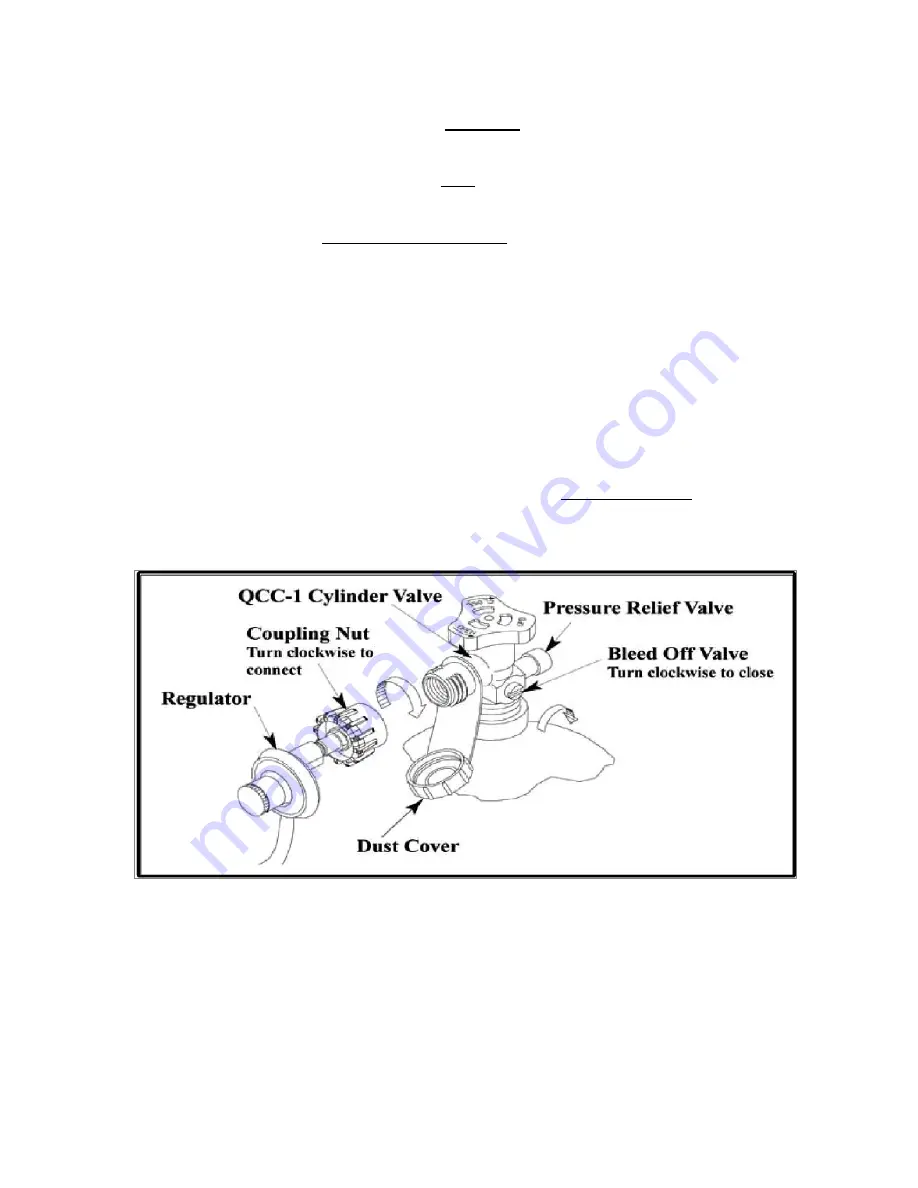 Blaze Outdoor Products BLZ-3LP Use & Care Manual Download Page 21