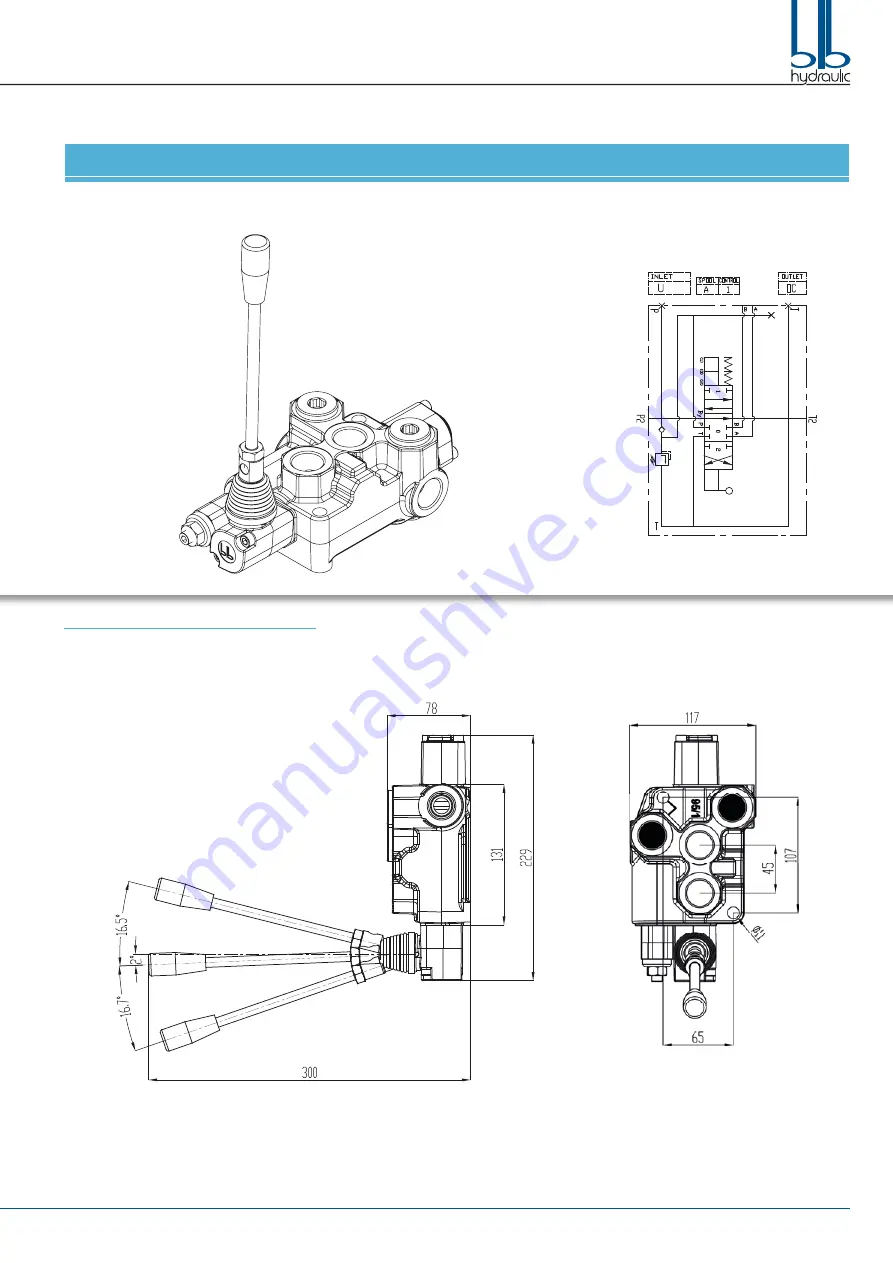 BLB hydraulic BM100/1 Скачать руководство пользователя страница 3