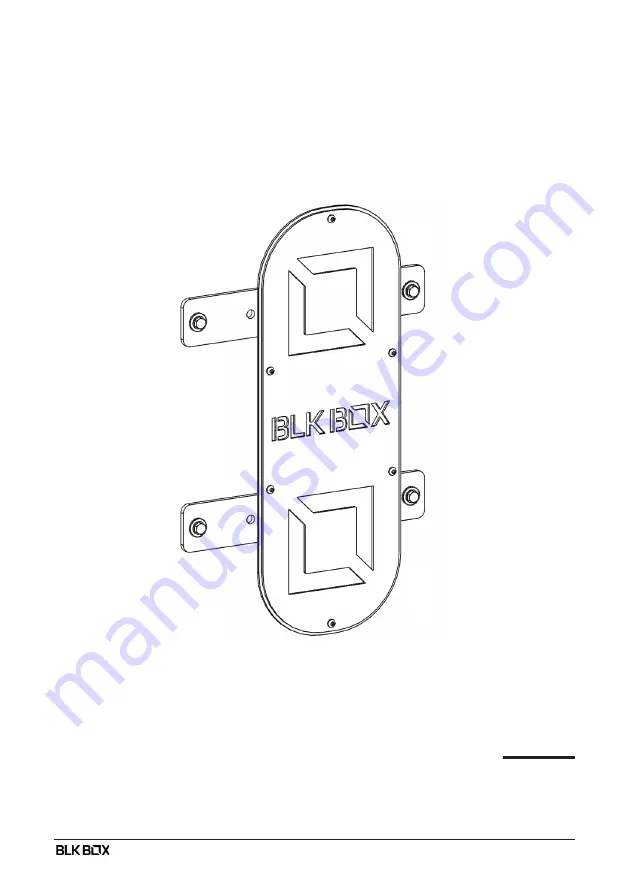 BLK BOX 21-0208 Скачать руководство пользователя страница 1