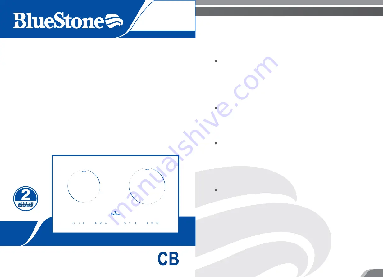 BLUE STONE ICB-6811 Скачать руководство пользователя страница 8