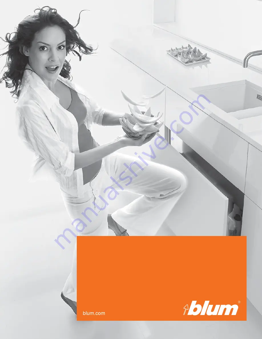 BLUM Tandem Installation Instructions Manual Download Page 1