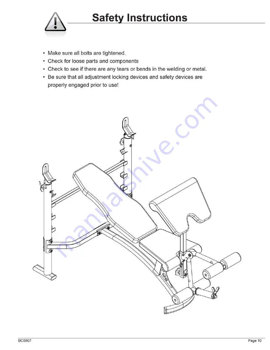 Body Champ BCB 807 Скачать руководство пользователя страница 11