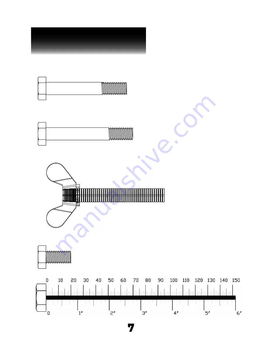 Body Solid POWERLINE PAB-21 X Скачать руководство пользователя страница 7