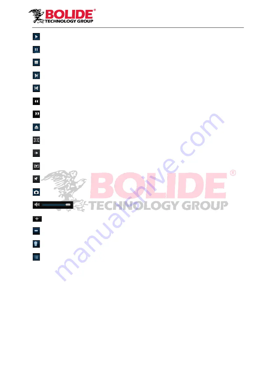 Bolide SVR9504H User Manual Download Page 33