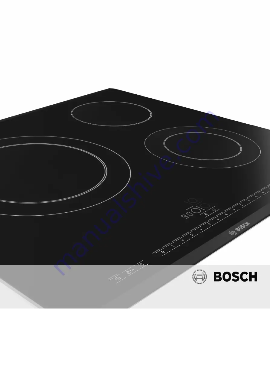 Bosch PIV N Series Instruction Manual Download Page 1