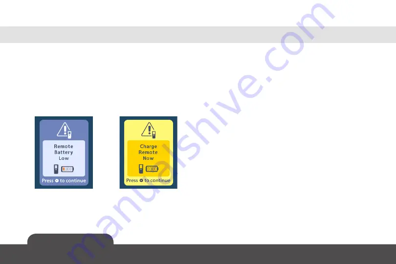 Boston Scientific DB-5250-S Handbook Download Page 37