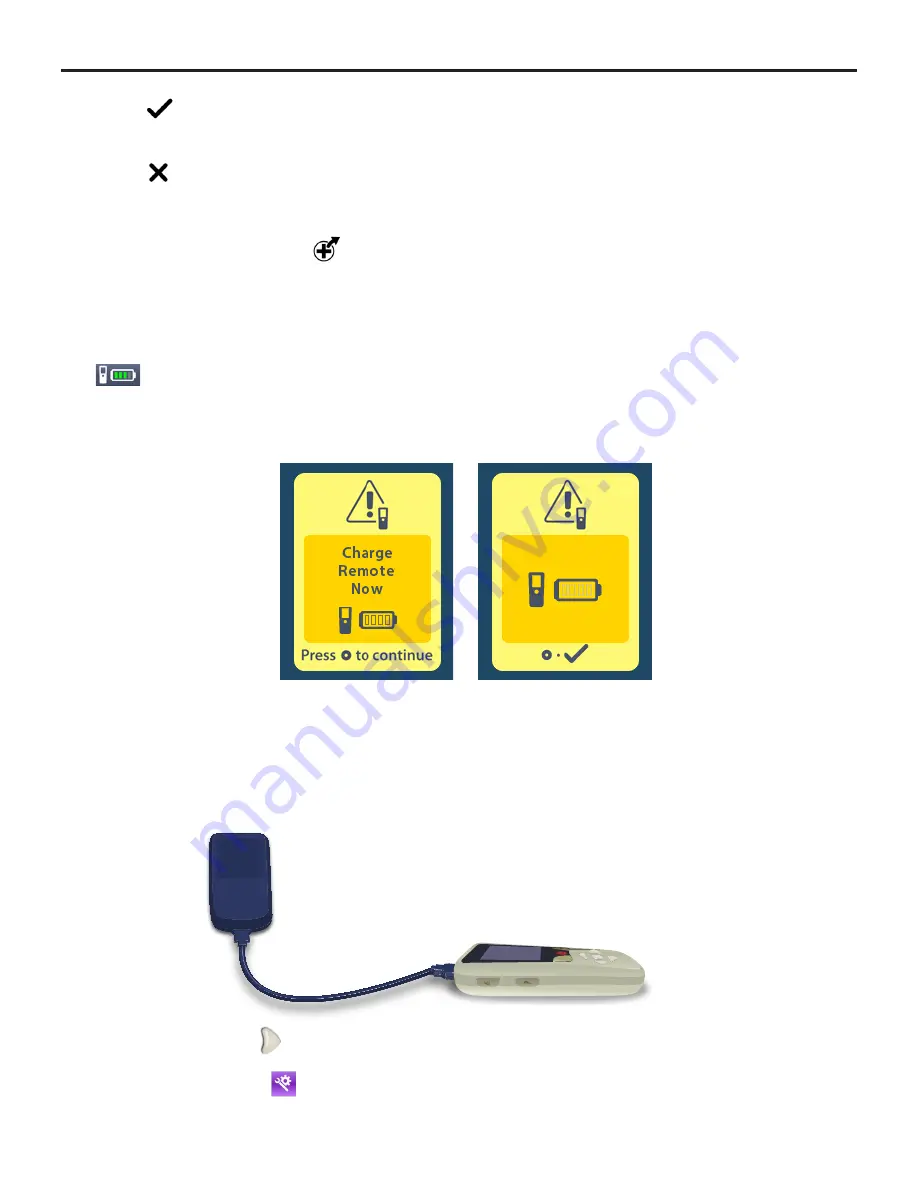 Boston Scientific DB-5552-1 Directions For Use Manual Download Page 22