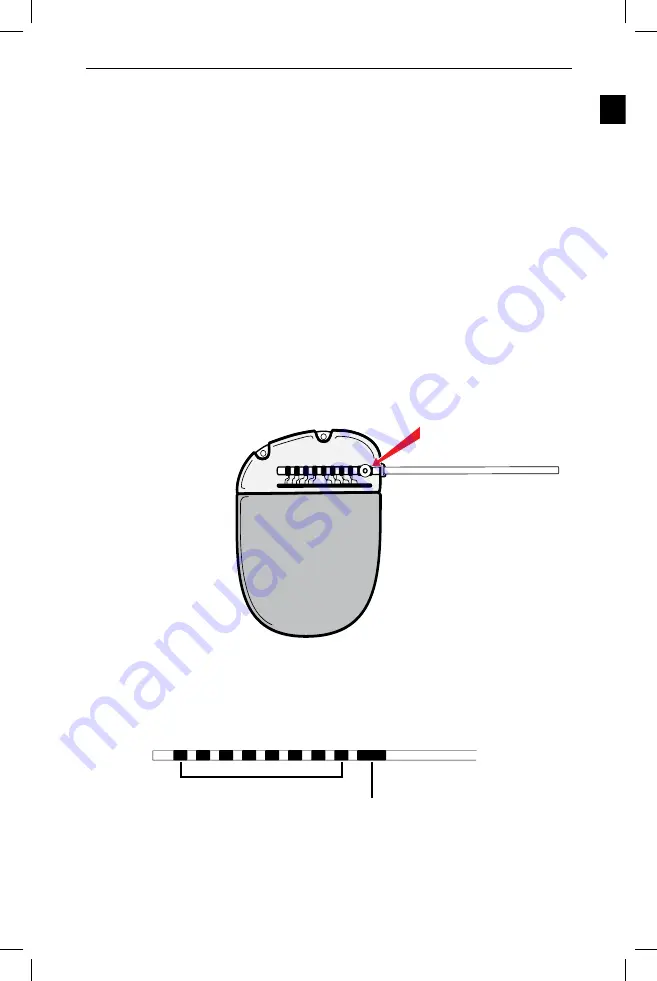 Boston Scientific Vercise Manual Download Page 47