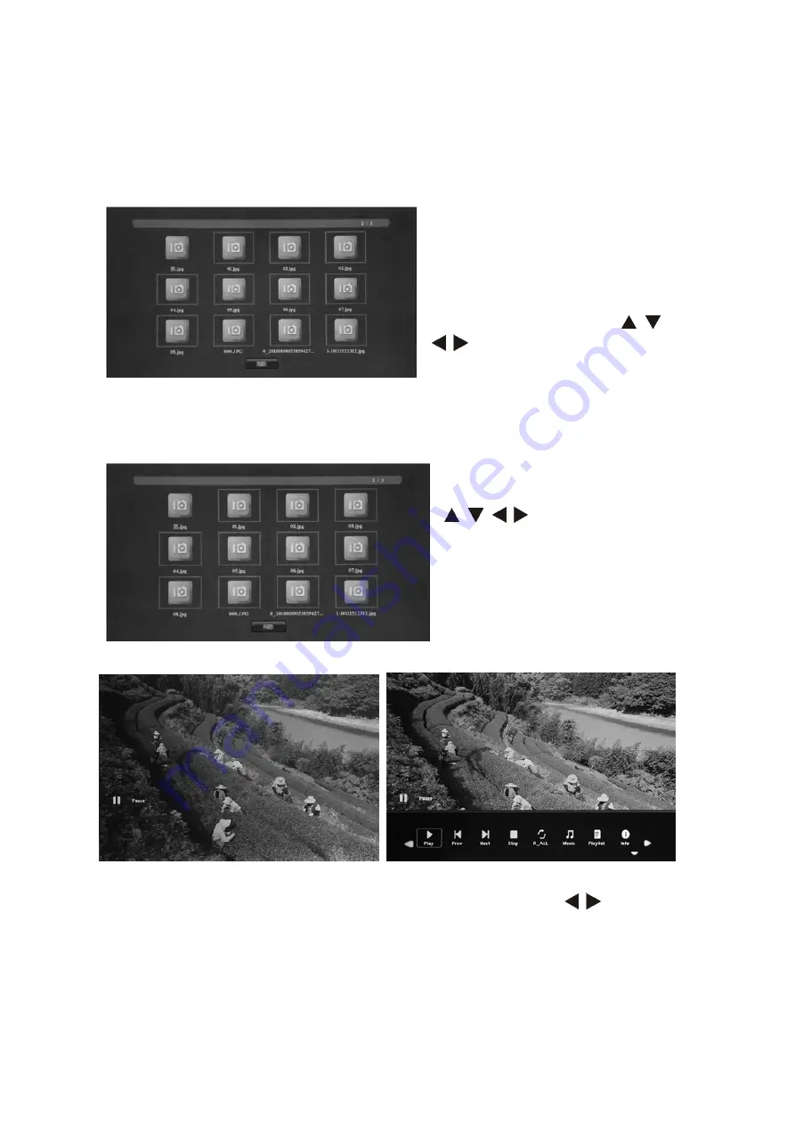 Braun 21242 User Manual Download Page 55