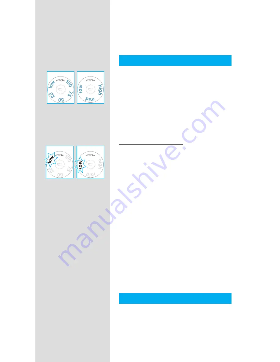 Braun Pulsonic Pro-System Manual Download Page 22