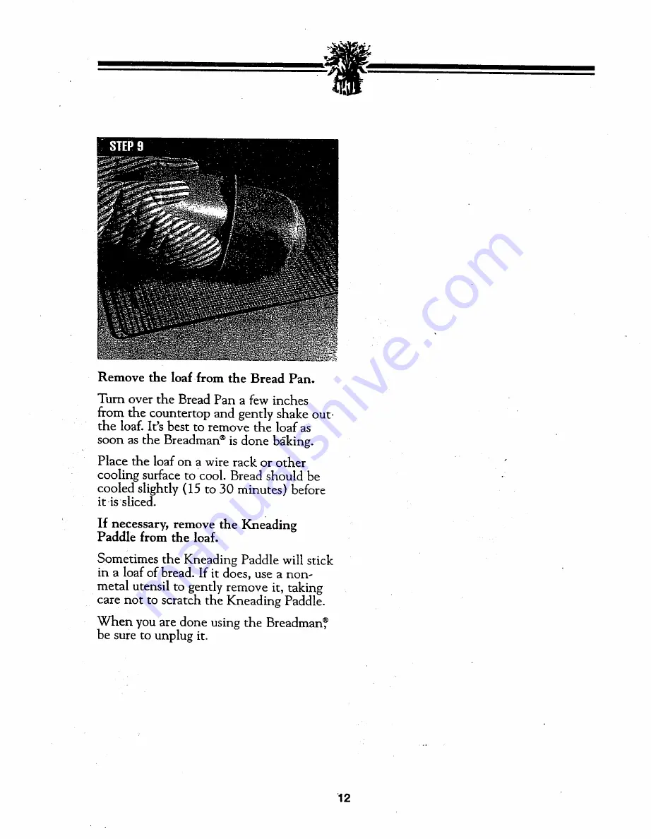 Breadman TR510 Instruction Manual Download Page 13