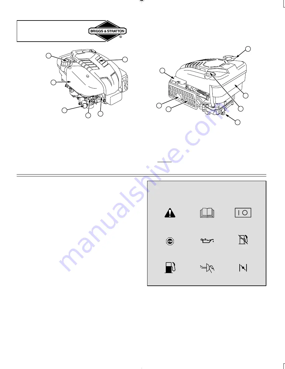 Briggs & Stratton 110600 series Operating & Maintenance Instructions Download Page 6