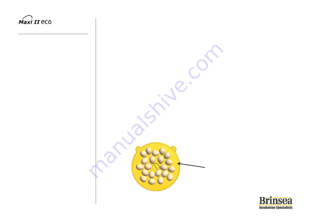 Brinsea Maxi II eco Operating Manual Download Page 11