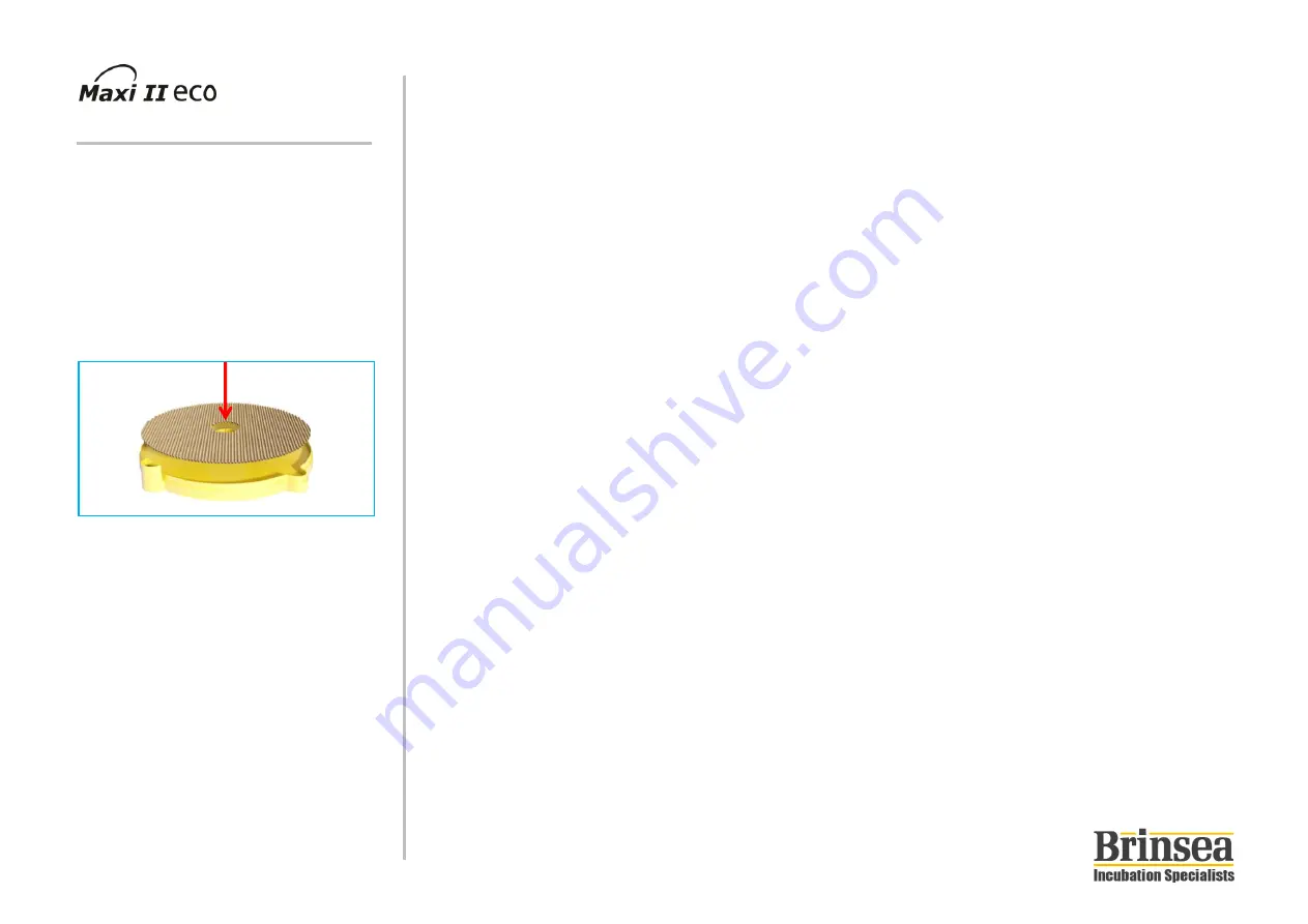 Brinsea Maxi II eco Operating Manual Download Page 12