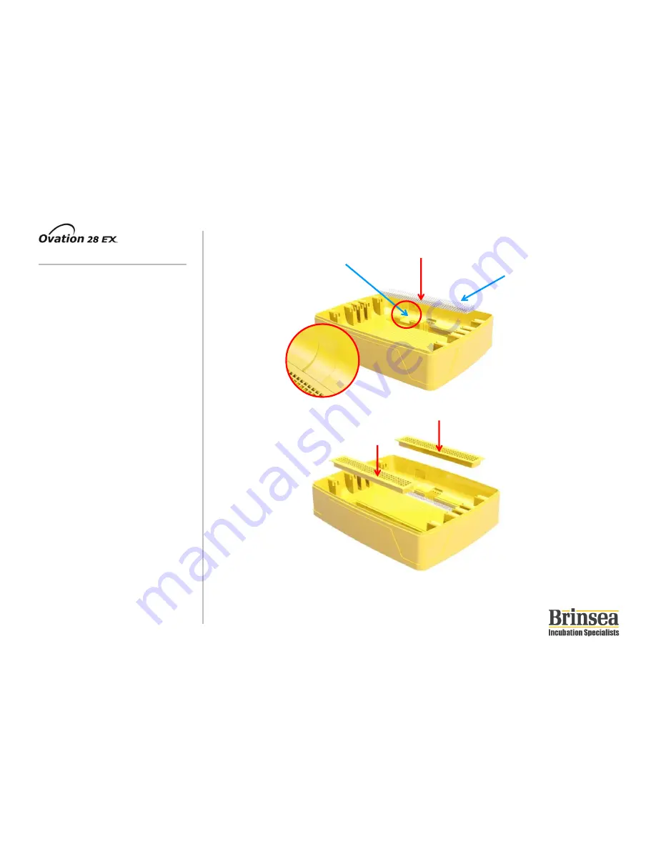 Brinsea Ovation 28 EX Скачать руководство пользователя страница 6