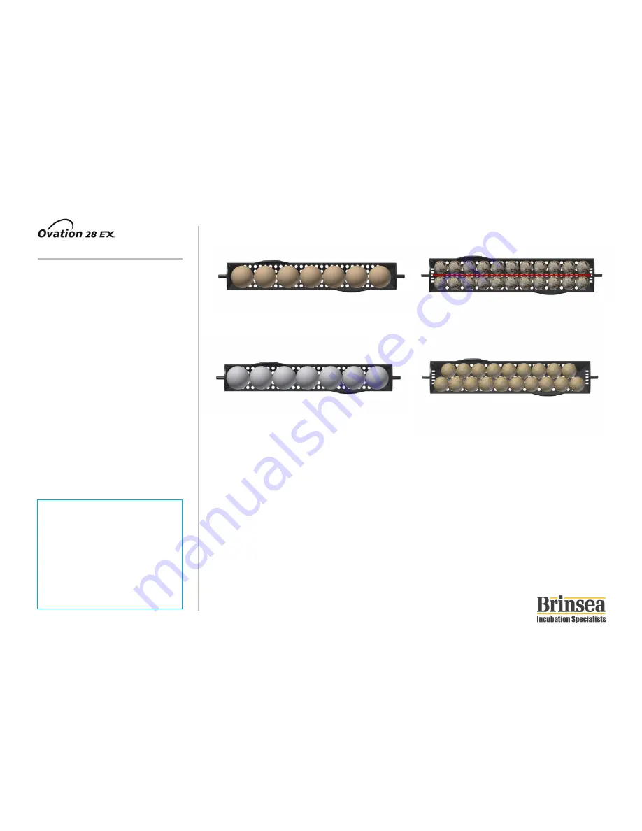 Brinsea Ovation 28 EX Скачать руководство пользователя страница 22