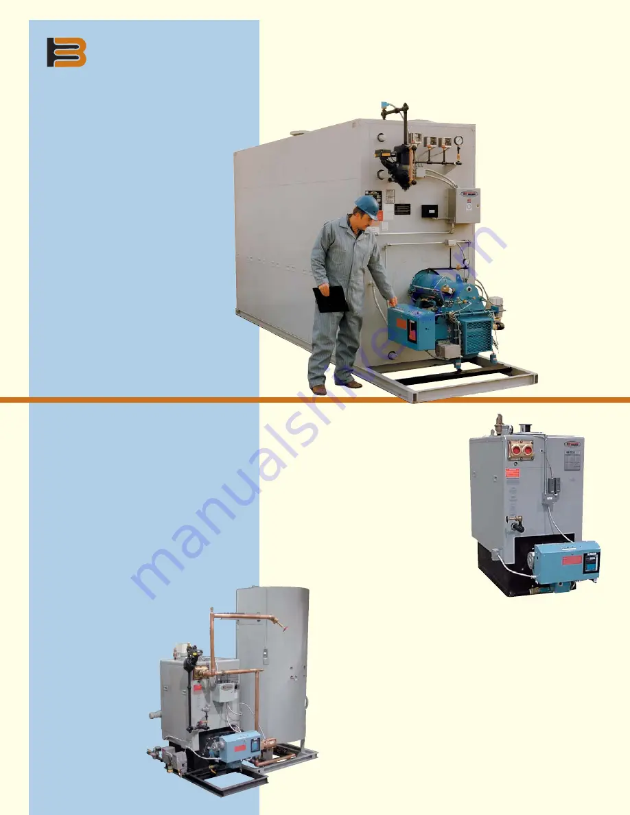 Bryan Boilers Flexible Water Tube Boilers Скачать руководство пользователя страница 6