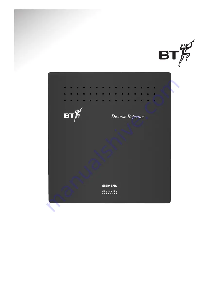 BT DIVERSE REPEATER Скачать руководство пользователя страница 1