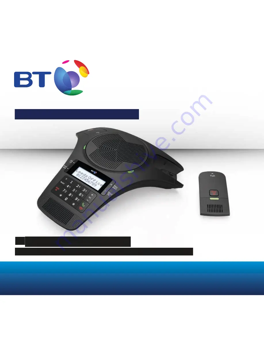 BT X300 Quick Setup And User Manual Download Page 1