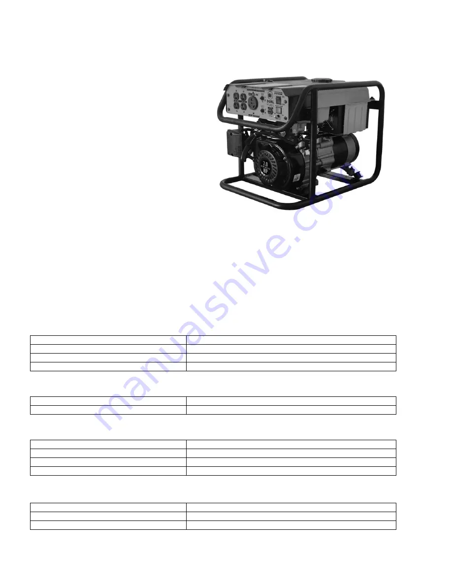 Buffalo Tools GEN4000DF-STW Скачать руководство пользователя страница 2