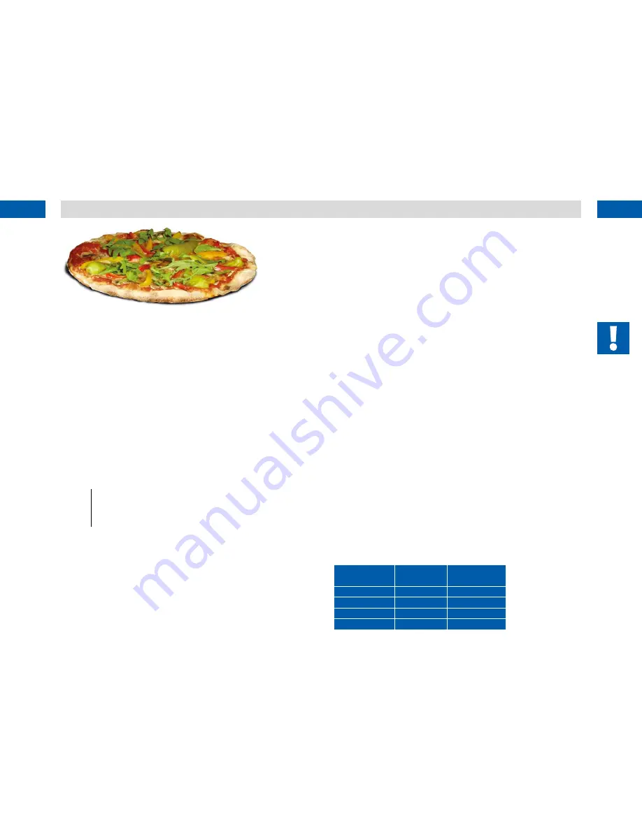 buschbeck PIZZA BOX User Instructions Download Page 10