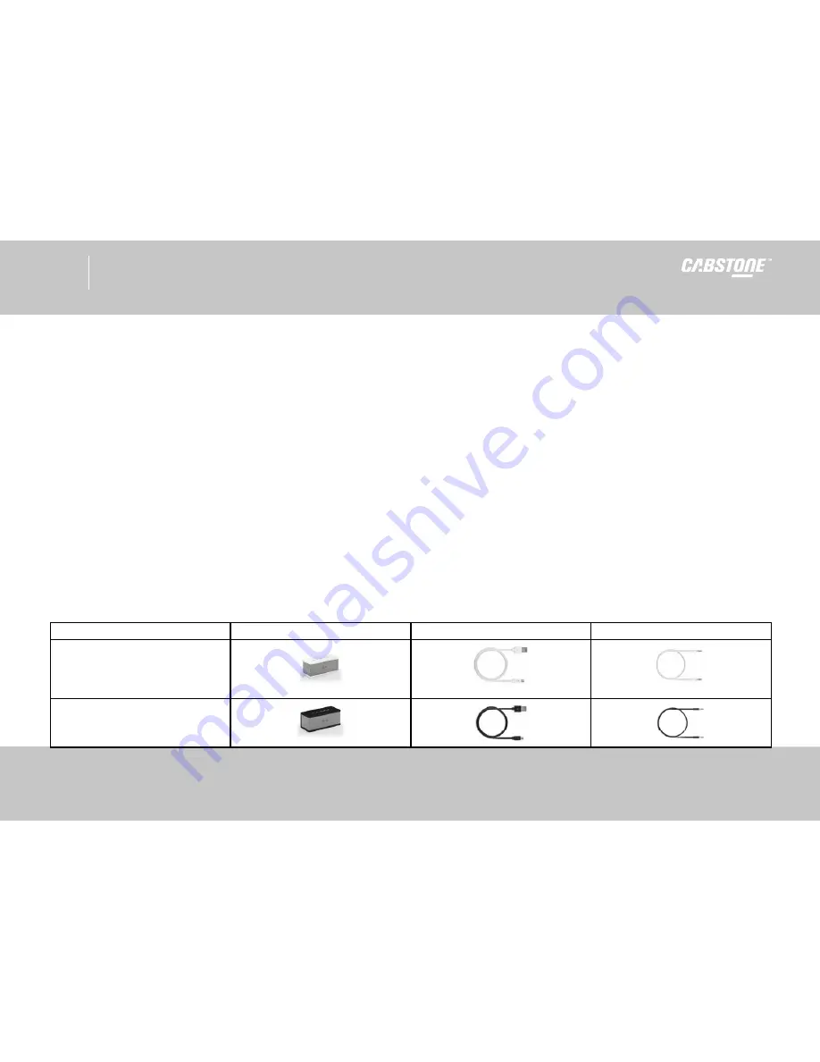 cabstone SoundBlock User Manual Download Page 19