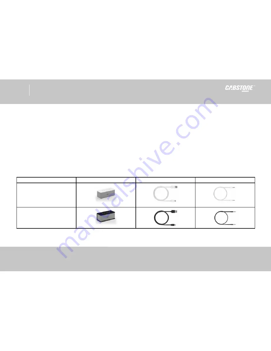 cabstone SoundBlock User Manual Download Page 21