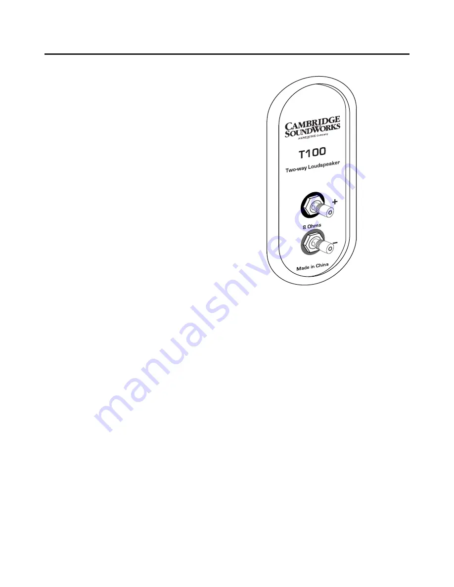 Cambridge SoundWorks NEWTON T100 User Manual Download Page 8