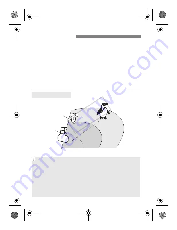 Canon 580EX - Speedlite II - Hot-shoe clip-on Flash Instruction Manual Download Page 151